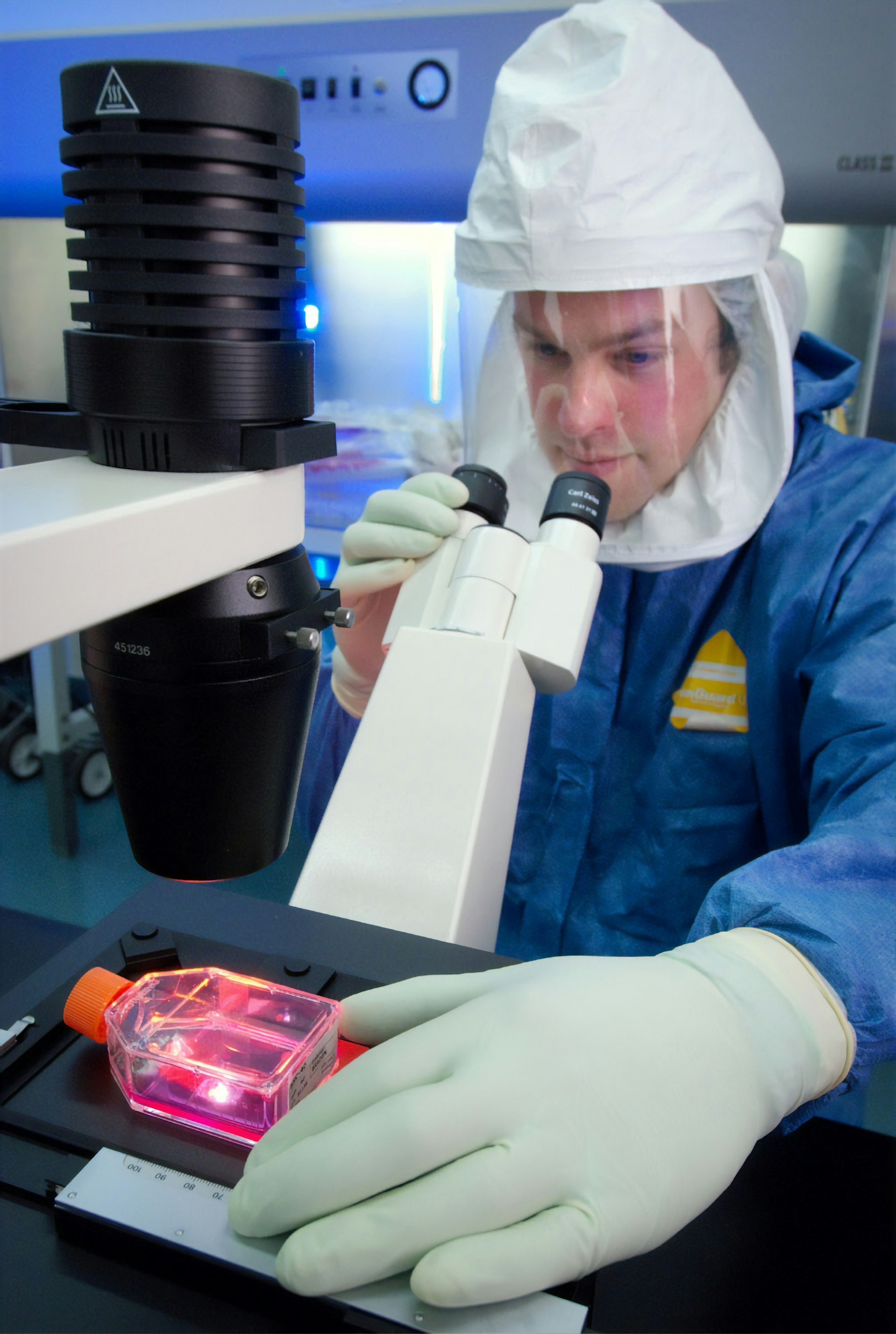Scientist examining a cell culture; general laboratory photograph